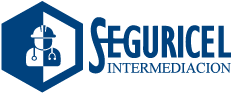 Seguricel Logo